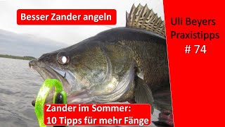 Zander Angeln 10 Tipps für Zander im Juni und Sommer [upl. by Arateehc]