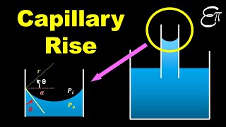 🔴 Capillary Rise  Surface Tension  for Class 11 in HINDI [upl. by Faber6]