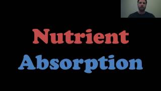 Nutrient Absorption [upl. by Abekam]