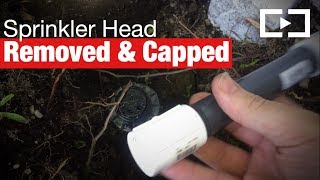 How to Remove and Cap a Sprinkler Head [upl. by Lekcar]