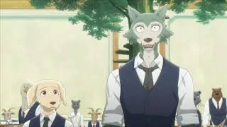 Beastars English Dub  All Clips [upl. by Enalahs116]