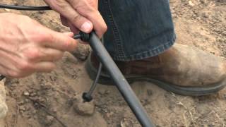 Drip Irrigation Tip  Emitter Placement [upl. by Pepito]