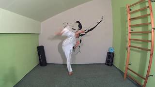 Ushiro Mawashi Geri  Kyokushin black belt 1st DAN kick  more on KyokushinAcademynet [upl. by Nivlag18]