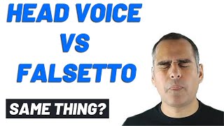 Falsetto vs Head Voice  Can you hear the difference [upl. by Halak]