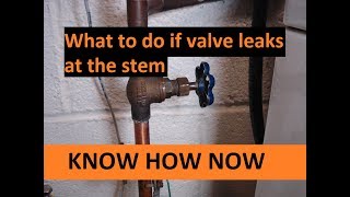 Fix Shut Off Valve Leaking at Stem [upl. by Henning]