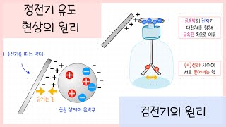 중2 전기와 자기 2강정전기 유도┃검전기의 원리⚡️ [upl. by Bilbe]