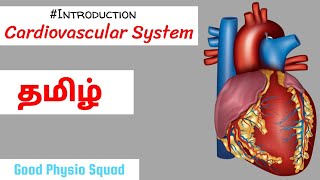 Physiology  Introduction to the Cardiovascular System in Tamil Lecture [upl. by Brittain317]