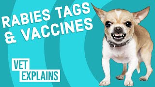 Rabies Vaccine amp Tag [upl. by Severn]