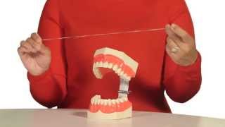 How to Floss Your Teeth [upl. by Lennahc]