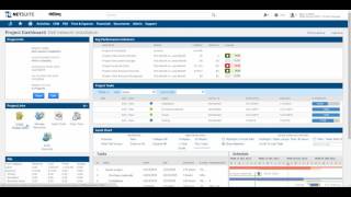 NetSuite Project Dashboard Demo [upl. by Tala61]