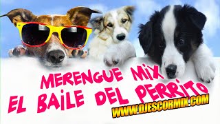 BAILE DEL PERRITO MIX DJ ESCORMIX [upl. by Issy433]