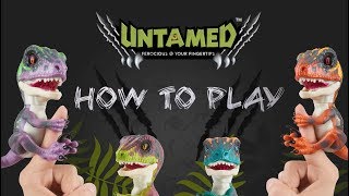 UNTAMED Toys  How to Play Make Dino Farts Replace Batteries and More [upl. by Lemrej34]