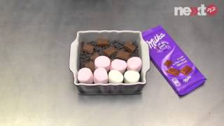 Recette de chamallows rôtis au chocolat [upl. by Melonie48]