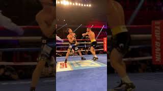 Lomachenko vs Nakatani [upl. by Hakon]