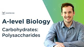 Carbohydrates Polysaccharides  Alevel Biology  OCR AQA Edexcel [upl. by Dranik763]