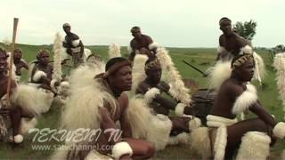 Celebrating Zulu Heritage Through Tribal Dance [upl. by Suitangi]