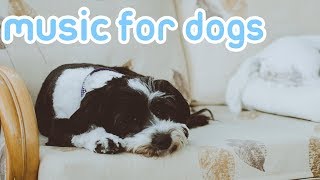 Relaxing Music for Dogs Deep Sleep Songs to Calm Dogs NEW [upl. by Eleets736]