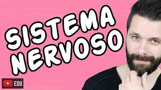 SISTEMA NERVOSO  FISIOLOGIA  Aula  Biologia com Samuel Cunha [upl. by Novyak]