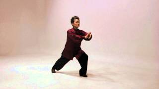 Simplified 24 Tai Chi routine [upl. by Bogosian]