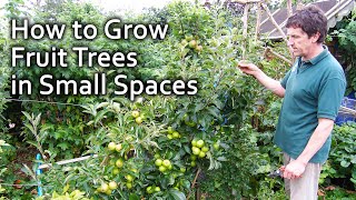 How to Grow Fruit Trees in Small Spaces [upl. by Orapma]