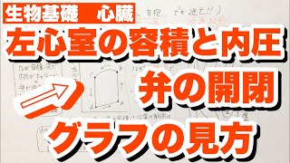 【左心室のグラフの見方】左心室の容積と内圧のグラフ 大動脈弁と僧帽弁（房室弁）の開閉 心臓の拍動 ゴロ生物基礎 [upl. by Adnahsam]