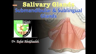 Submandibular and Sublingual Glands [upl. by Lay161]