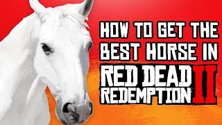 Red Dead Redemption 2  How to Get the BEST Horse Fast amp Easy Guide [upl. by Fremont]