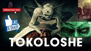 7 SCARY TOKOLOSHE CAUGHT ON CAMERA [upl. by Nohsar]