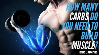 How many carbs do you need to build muscle [upl. by Kelda]