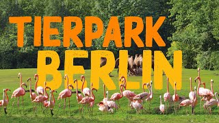 Tierpark Berlin  Zoo Eindruck [upl. by Ydnac]