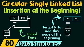 Circular Singly Linked List Insertion at the Beginning [upl. by Ssur]