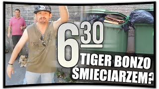 TIGER BONZO GRZEBIE W ŚMIECIACH [upl. by Aniz]