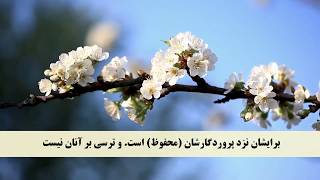 QURAN FarsiDari Translation  Juz 03 Complete جز یا پاره سوم قرآن با ترجمه دری  فارسی [upl. by Jamnes]