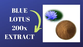 Blue Lotus 200x Extract  Egyptian Nymphaea Caerulea 2001 Extract [upl. by Wier]