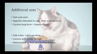 Veterinary Tranquilizers and Sedatives VETERINARY TECHNICIAN EDUCATION [upl. by Dwyer]