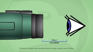 Understanding Binoculars Eye Relief [upl. by Leinahtam61]