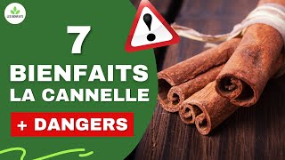 CANNELLE  SES BIENFAITS ET DANGERS POUR LA SANTE [upl. by Guod]