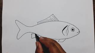 How to draw a Fish step by step [upl. by Shena]