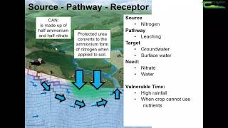 How Nitrate Leaching Occurs [upl. by Asillem713]