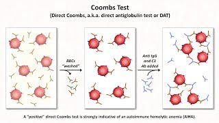 What is Osmosis [upl. by Aivlys]