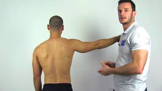 Drop Arm Test  Sign  Supraspinatus Tear [upl. by Allare]