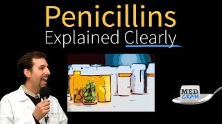 Penicillins  Antibiotics Explained Clearly [upl. by Kcirderfla]