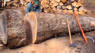 WOOD CUTTING  CUTTIN MORE BIG WOOD Poorly [upl. by Nnayhs718]