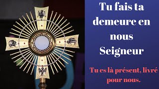 TU FAIS TA DEMEURE EN NOUS SEIGNEUR [upl. by Otina]