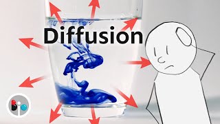 Diffusion How Molecules Actually Move [upl. by Blisse]