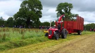 Massey ferguson 35 6 cylinder [upl. by Glaser]