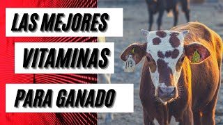 VITAMINAS PARA GANADO🐂💉 ⭐✅ LAS MEJORES ⭐✅ [upl. by Ardiedal]