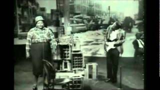 BIG MAMA THORNTON  Live YOU AINT NOTHING BUT A HOUND DOG [upl. by Zanas]