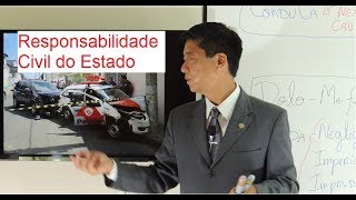 Responsabilidade Civil do Estado  Introdução  Aula 140  Eduardo Tanaka  D Administrativo [upl. by Sanoy826]