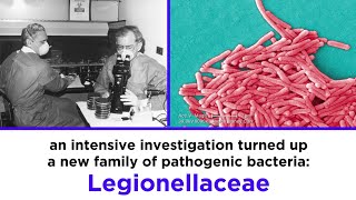 Legionnaires’ Disease Legionella pneumophila [upl. by Tilda]